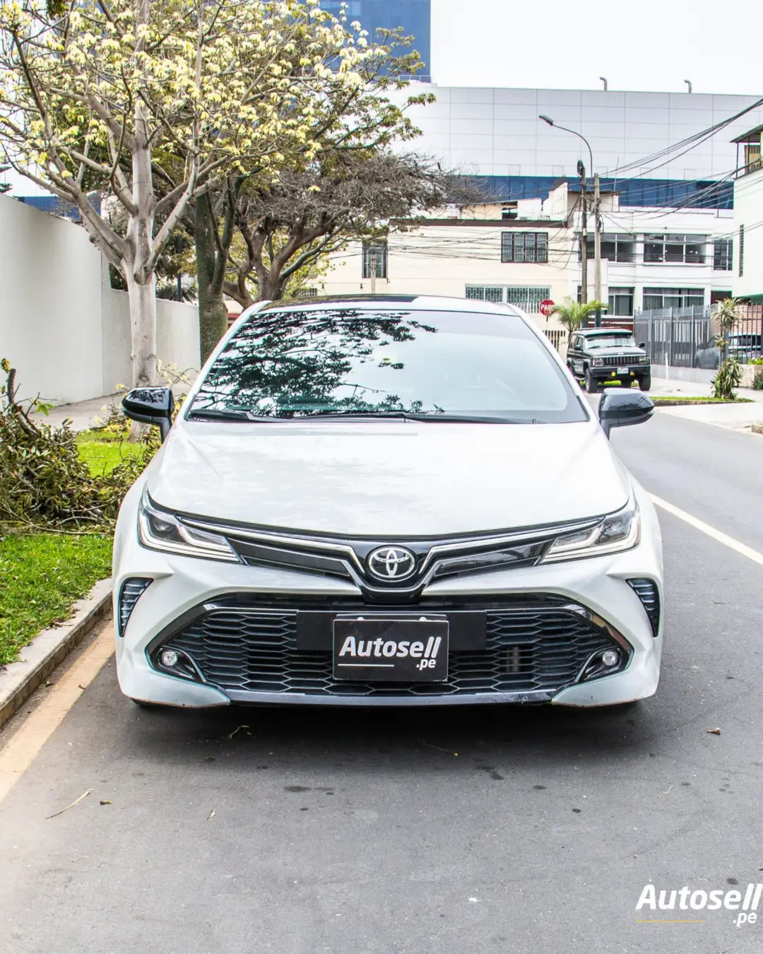 Toyota Corolla miniatura 7