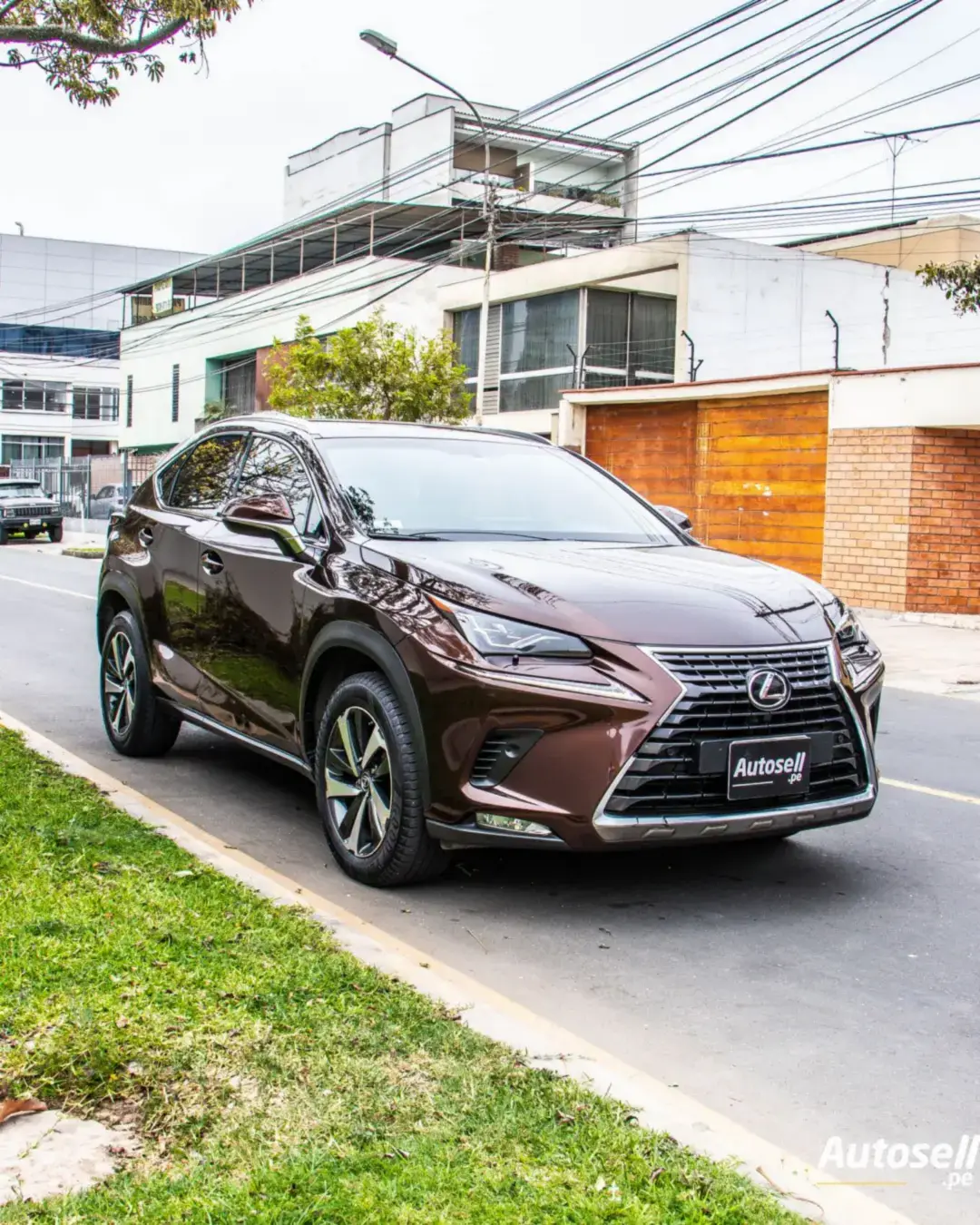Lexus NX