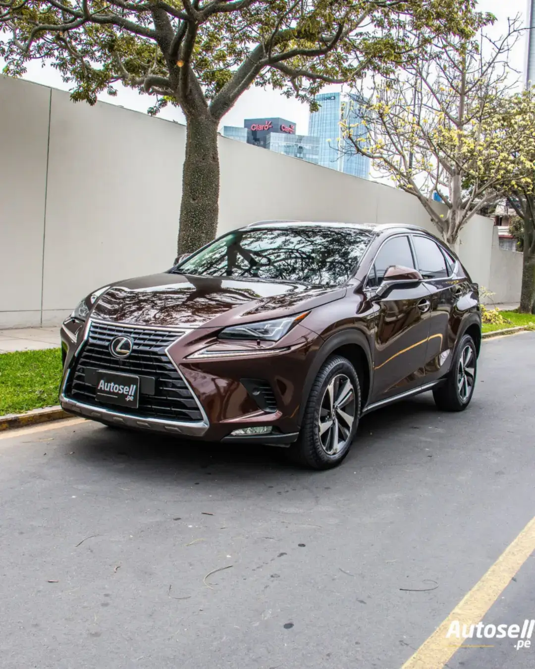 Lexus NX 2018