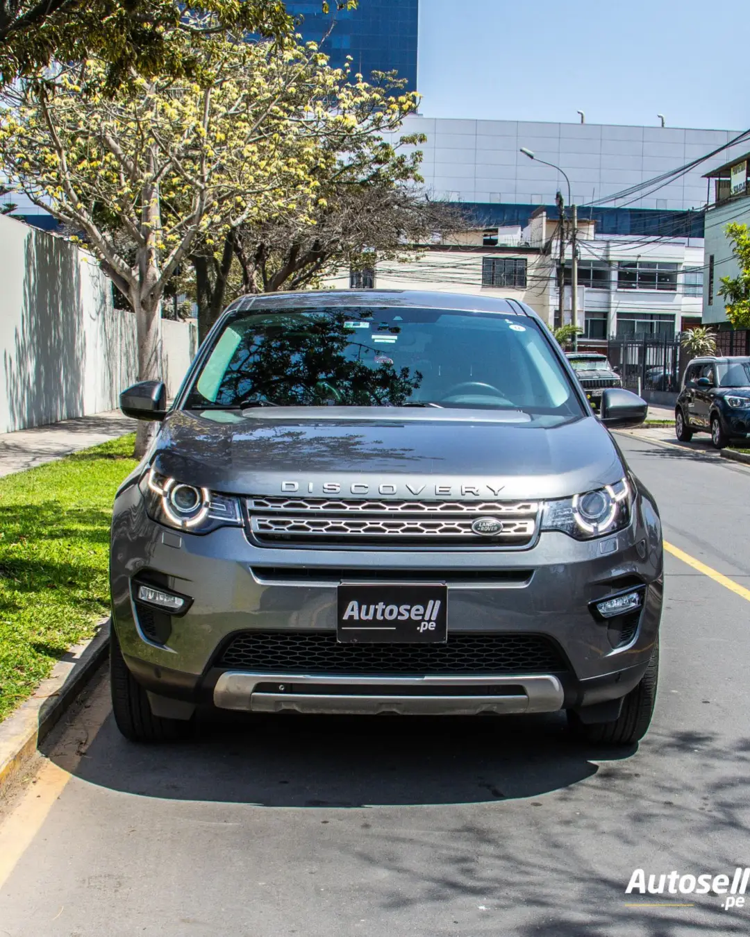 Land Rover Discovery Sport miniatura 7