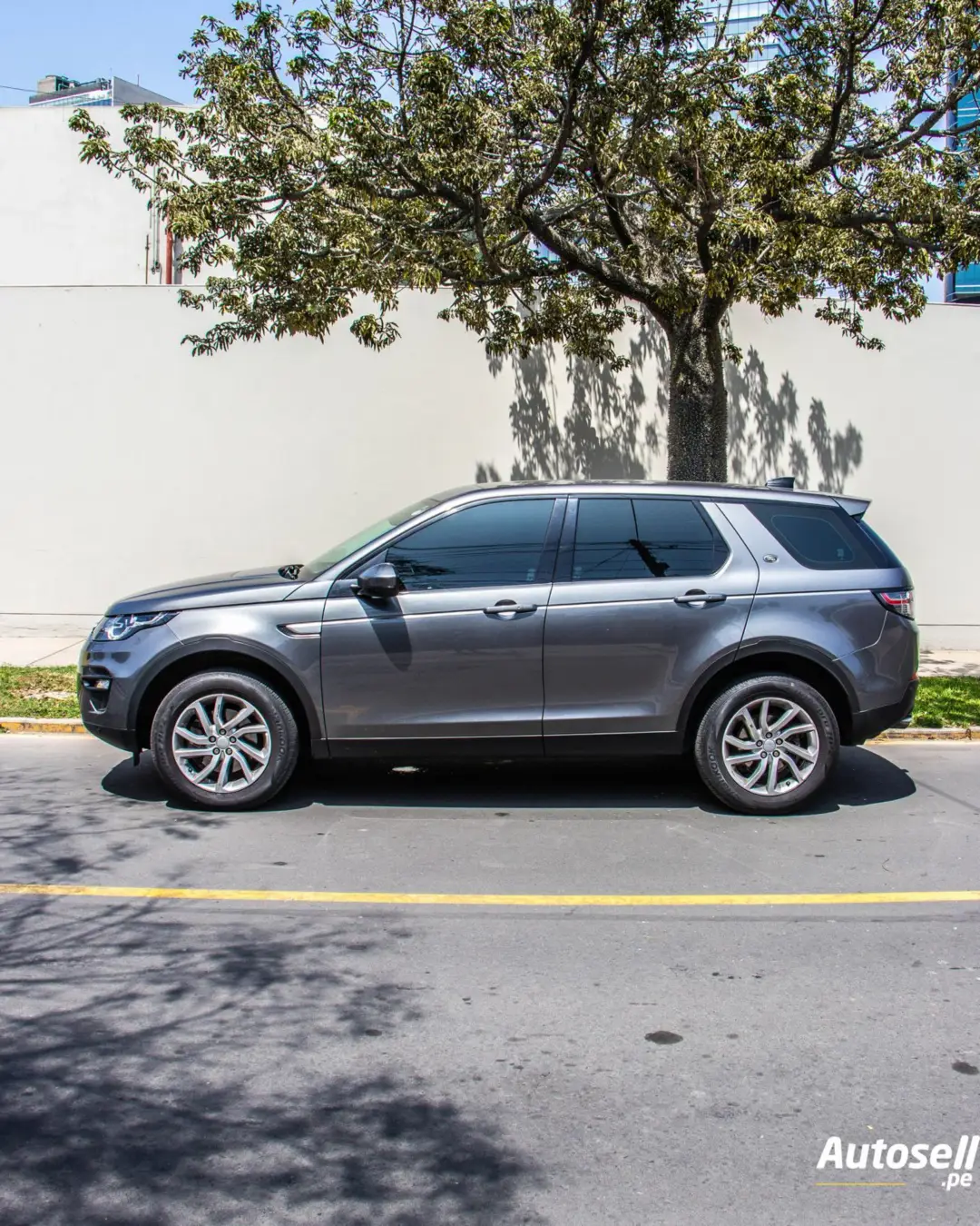 Land Rover Discovery Sport miniatura 2