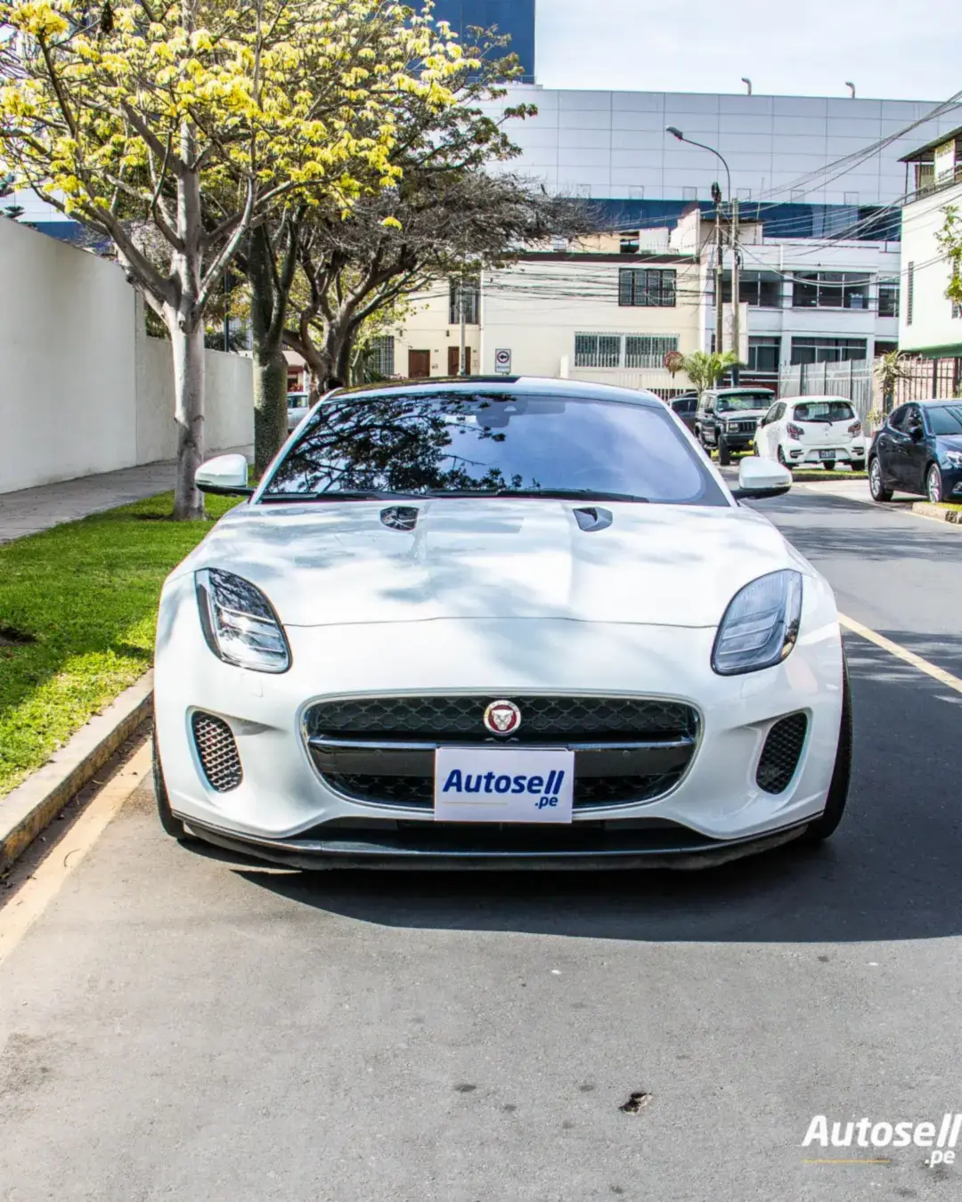 Jaguar F-Type miniatura 7