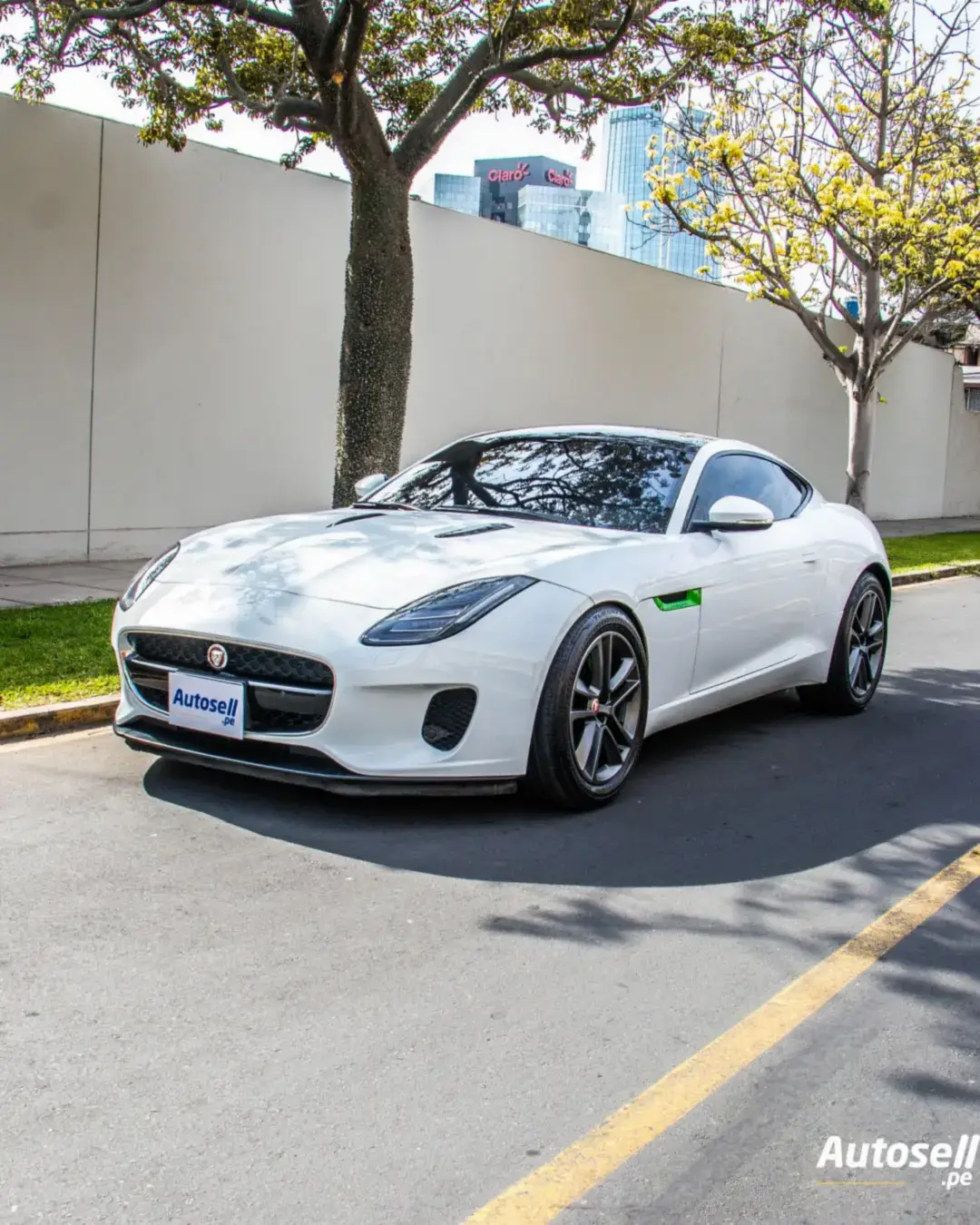 Jaguar F-Type miniatura 1