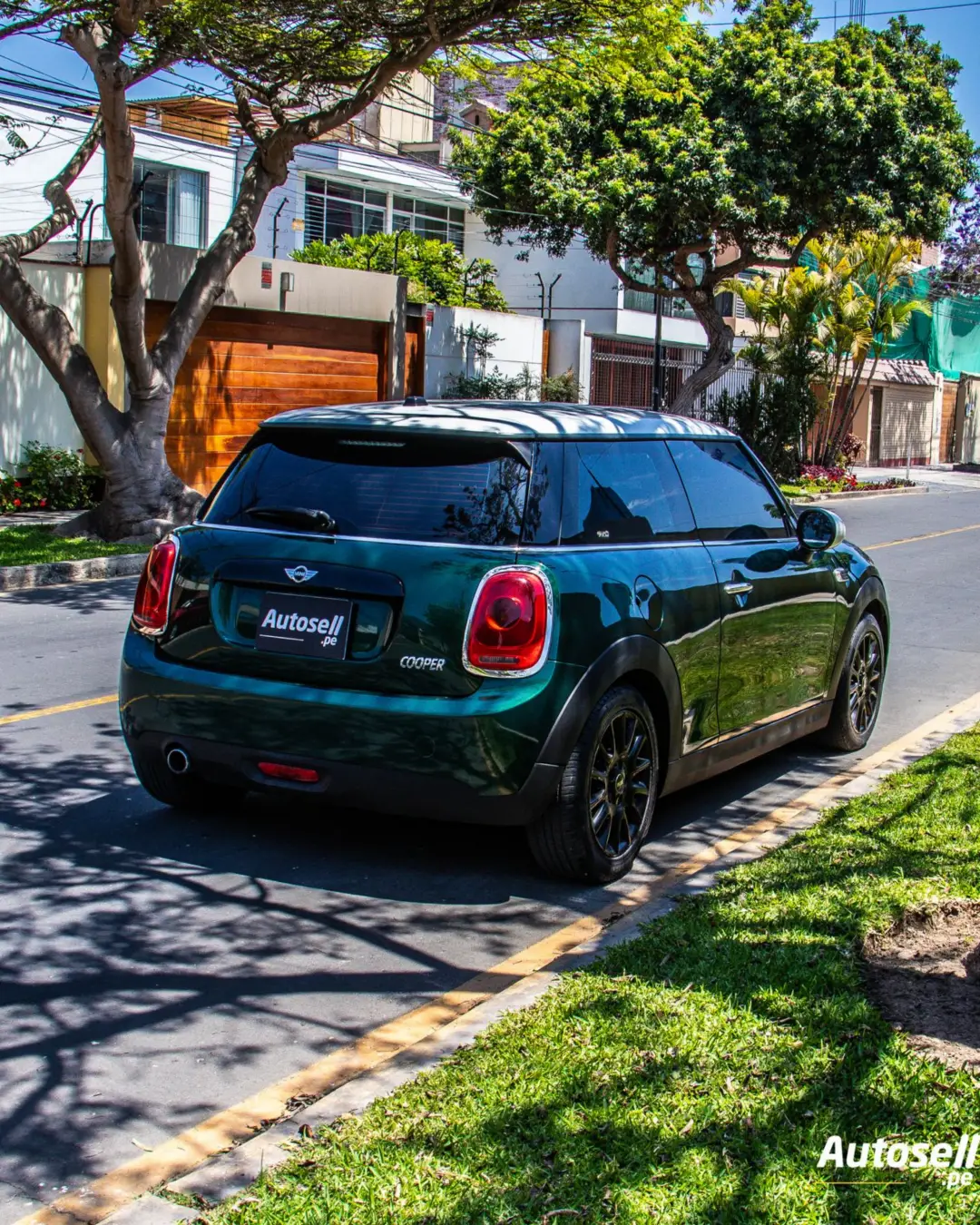 Mini Hatch