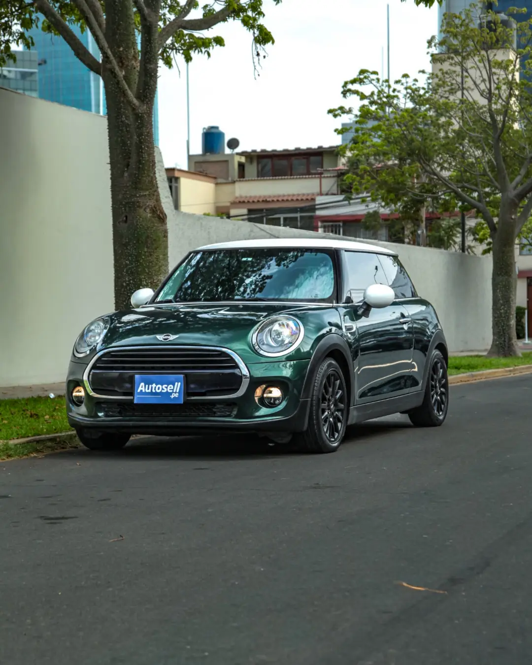 Mini Hatch