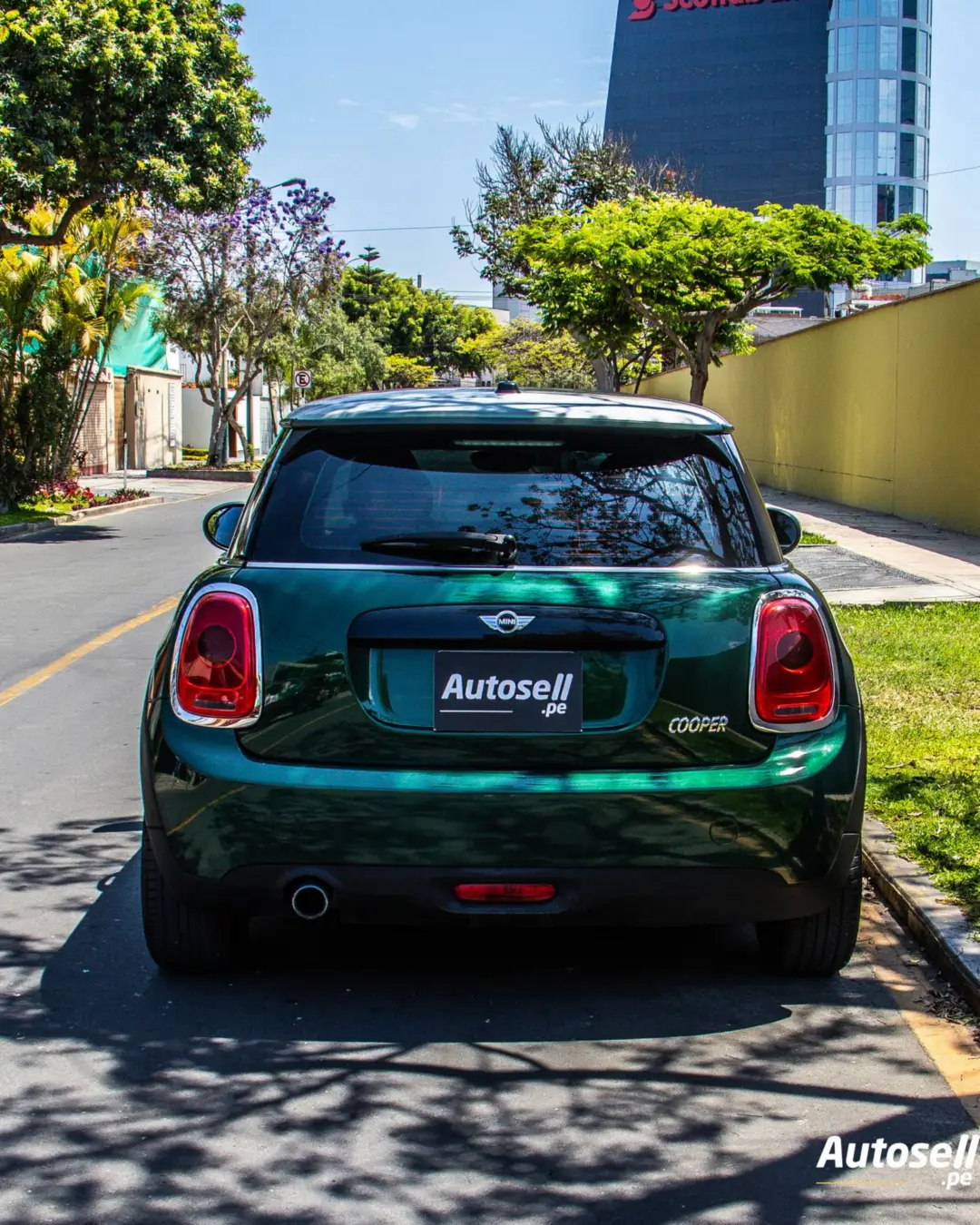 Mini Hatch