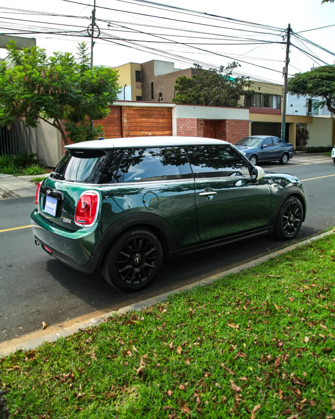 Mini Hatch