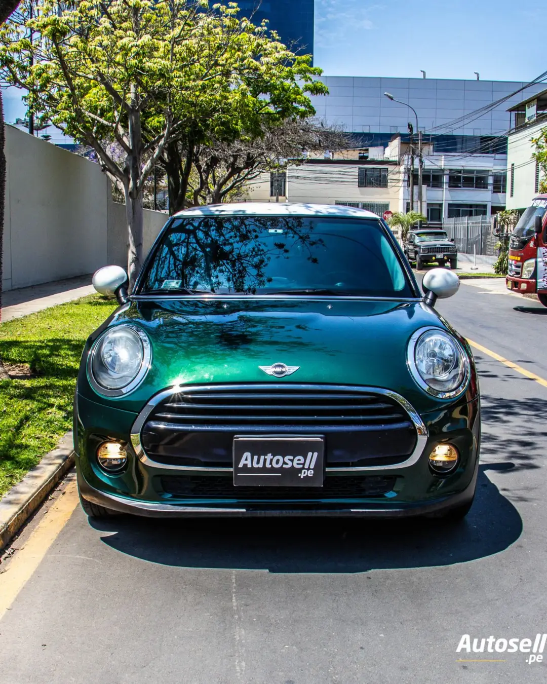 Mini Hatch