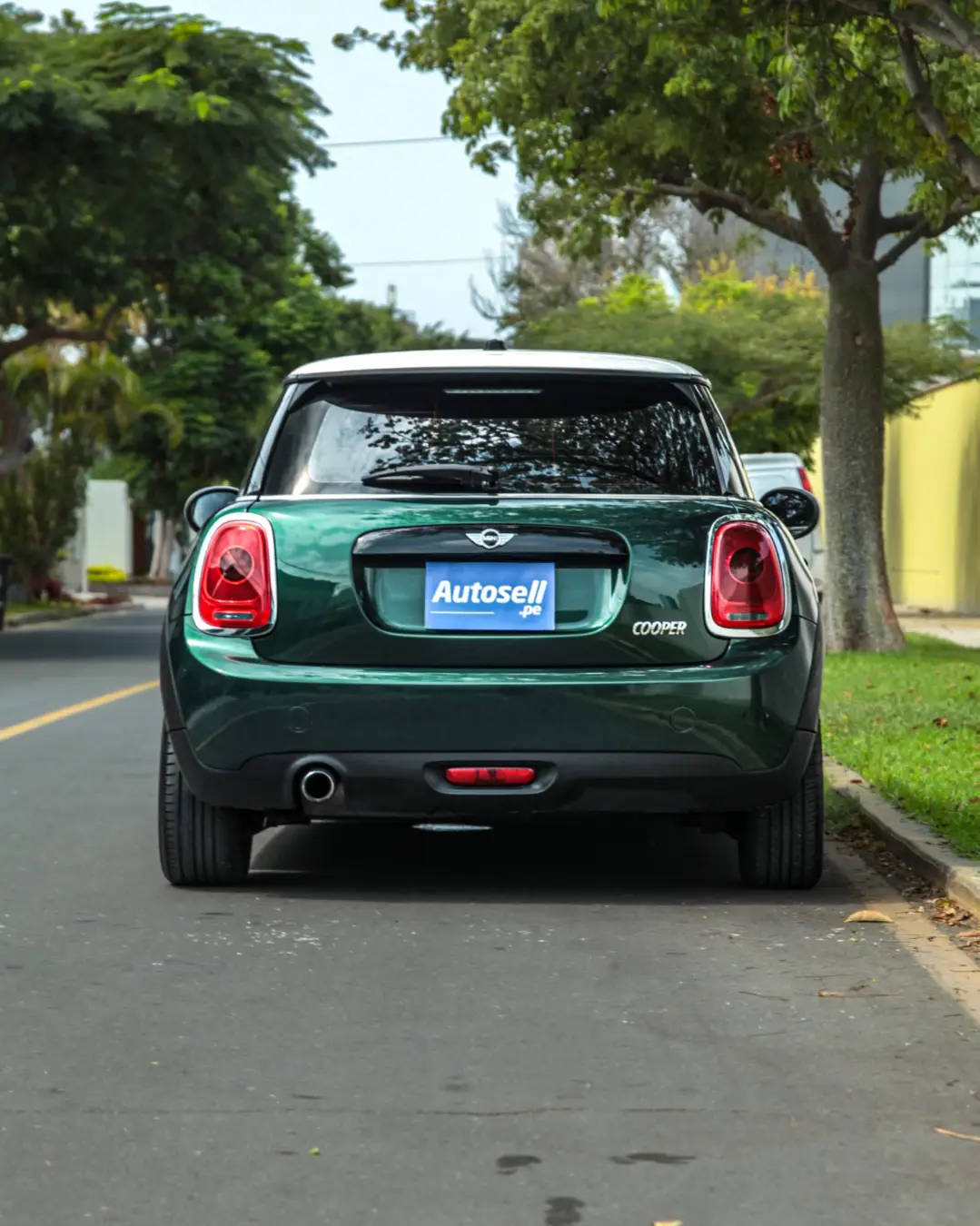 Mini Hatch