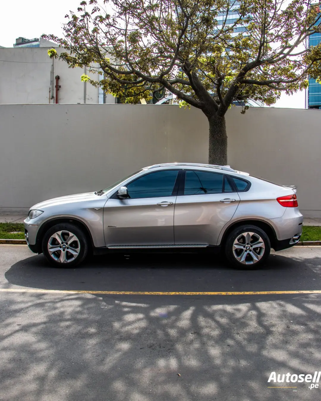 BMW X6 miniatura 2