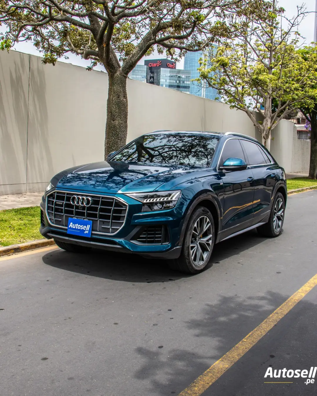 Audi Q8 2019