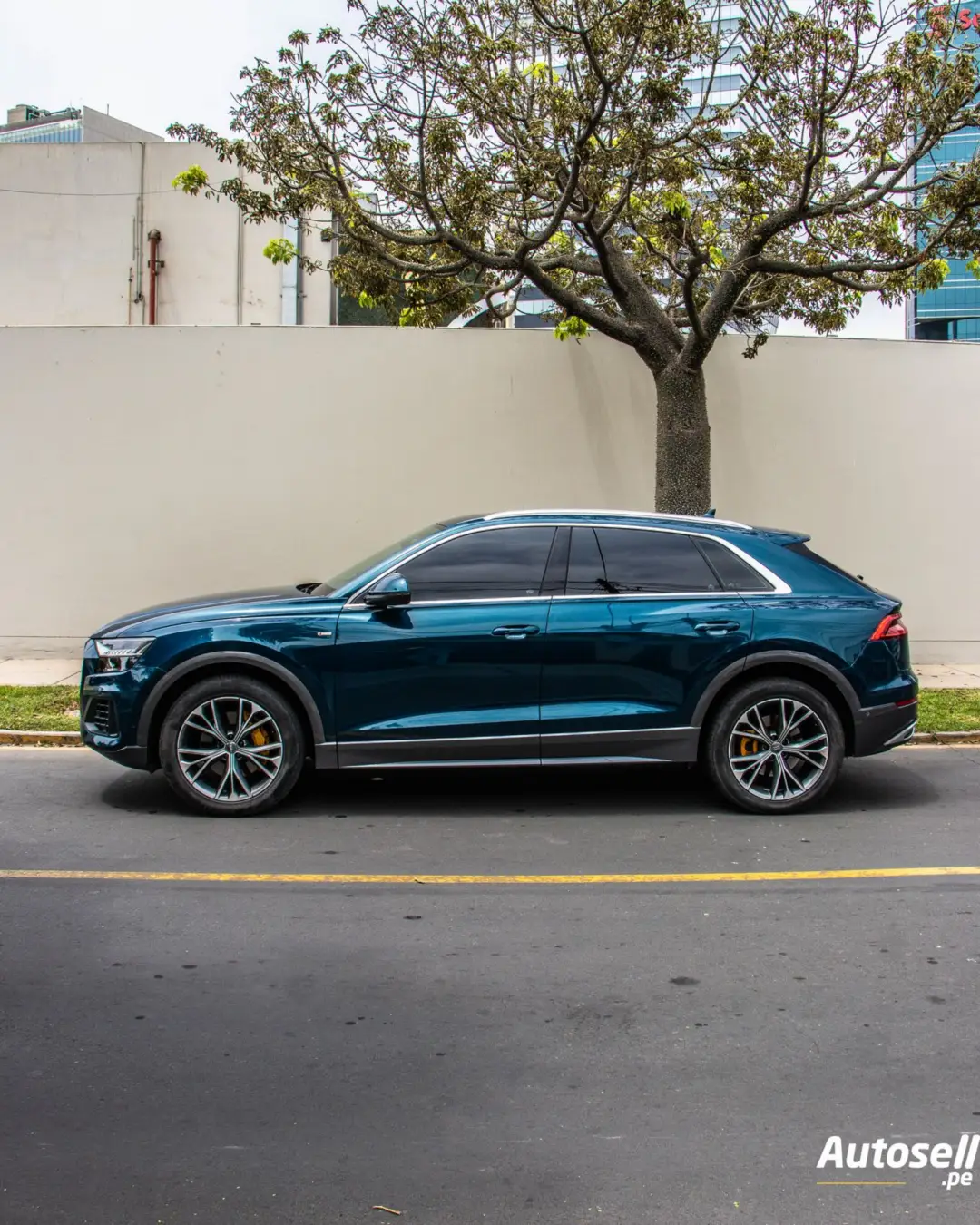 Audi Q8 miniatura 2
