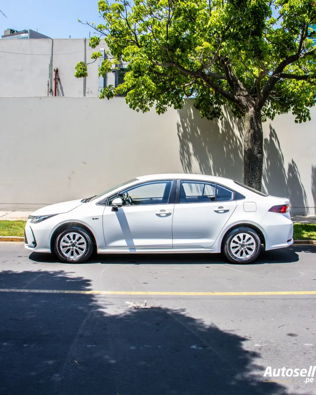 Toyota Corolla miniatura 2