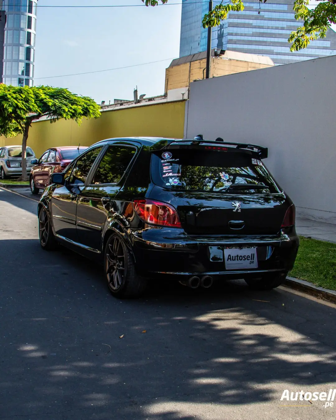 Peugeot 307 miniatura 3