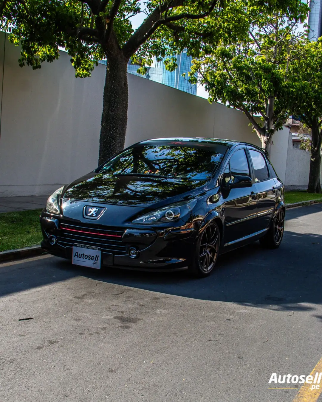 Peugeot 307 miniatura 1