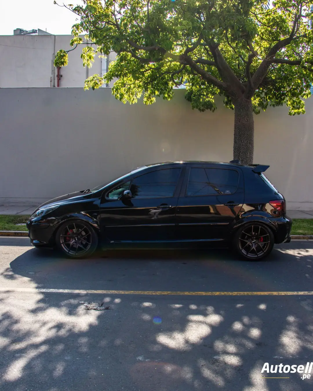 Peugeot 307 miniatura 2