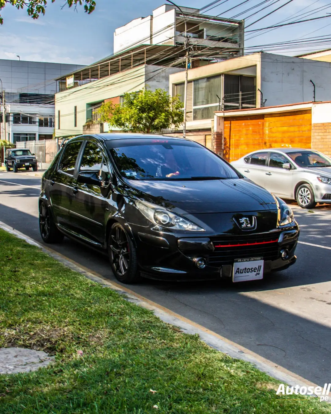 Peugeot 307 miniatura 6