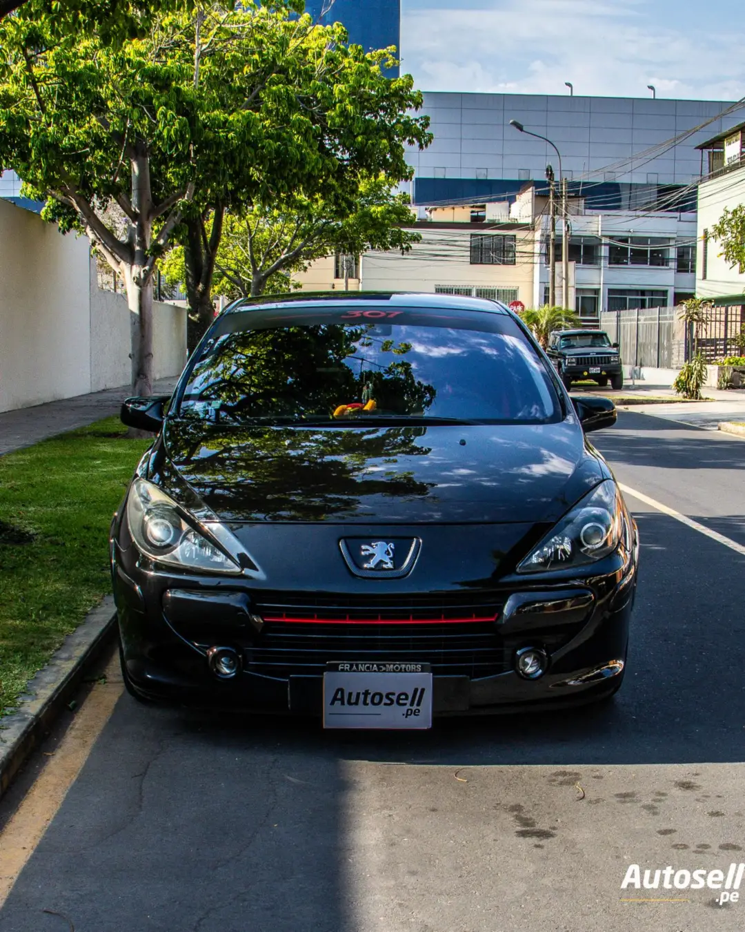 Peugeot 307 miniatura 7