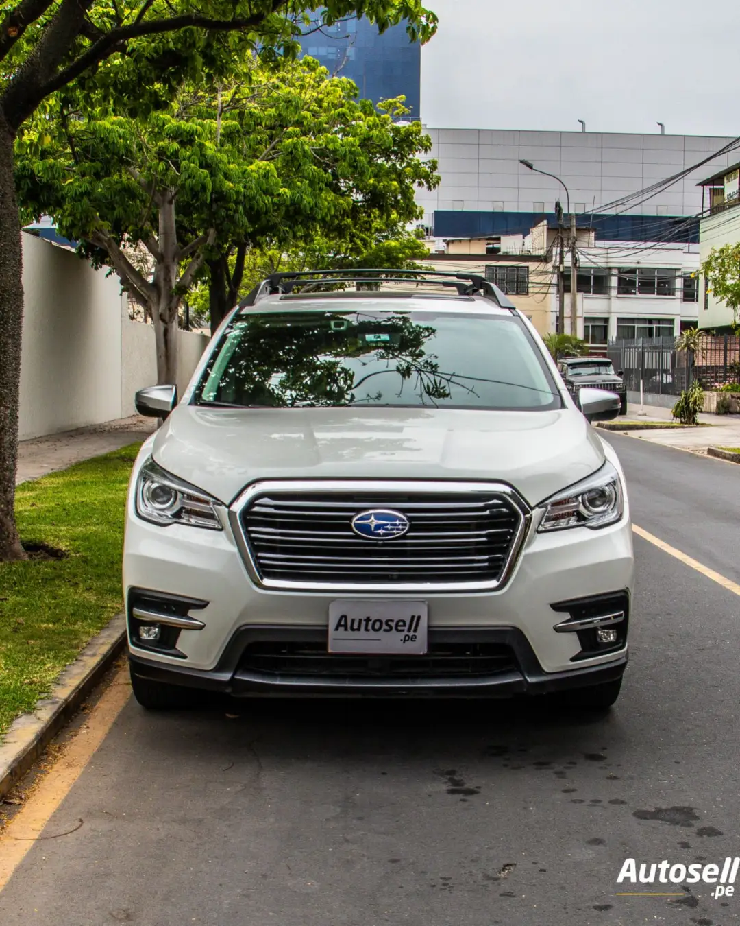 Subaru Evoltis miniatura 7