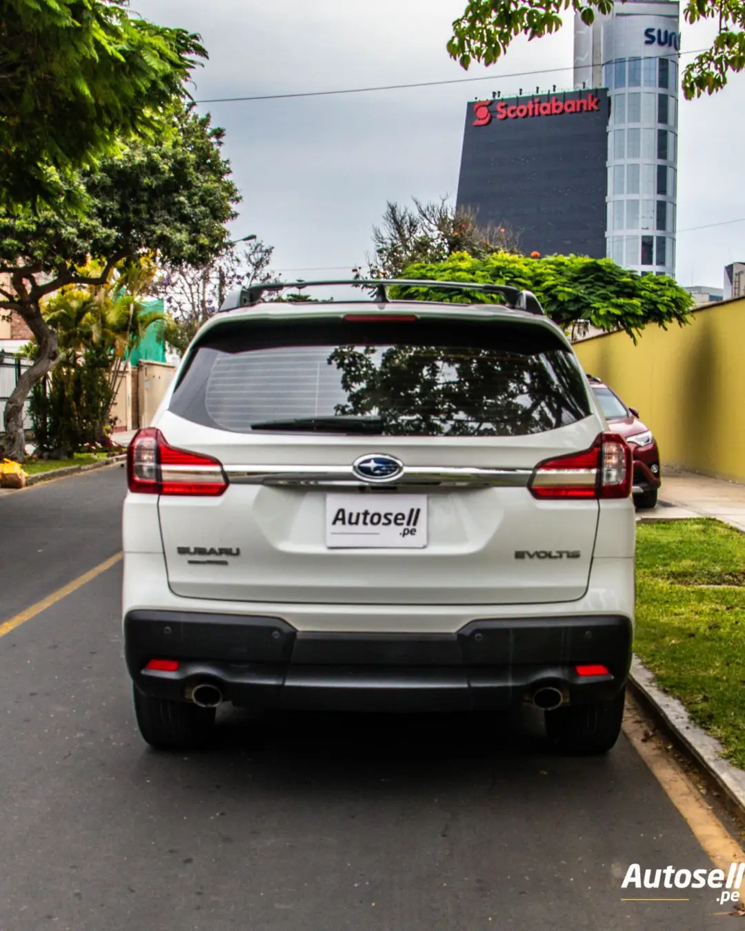 Subaru Evoltis miniatura 4