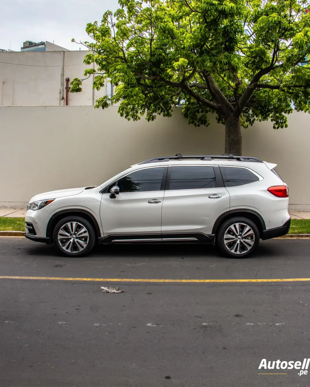 Subaru Evoltis miniatura 2