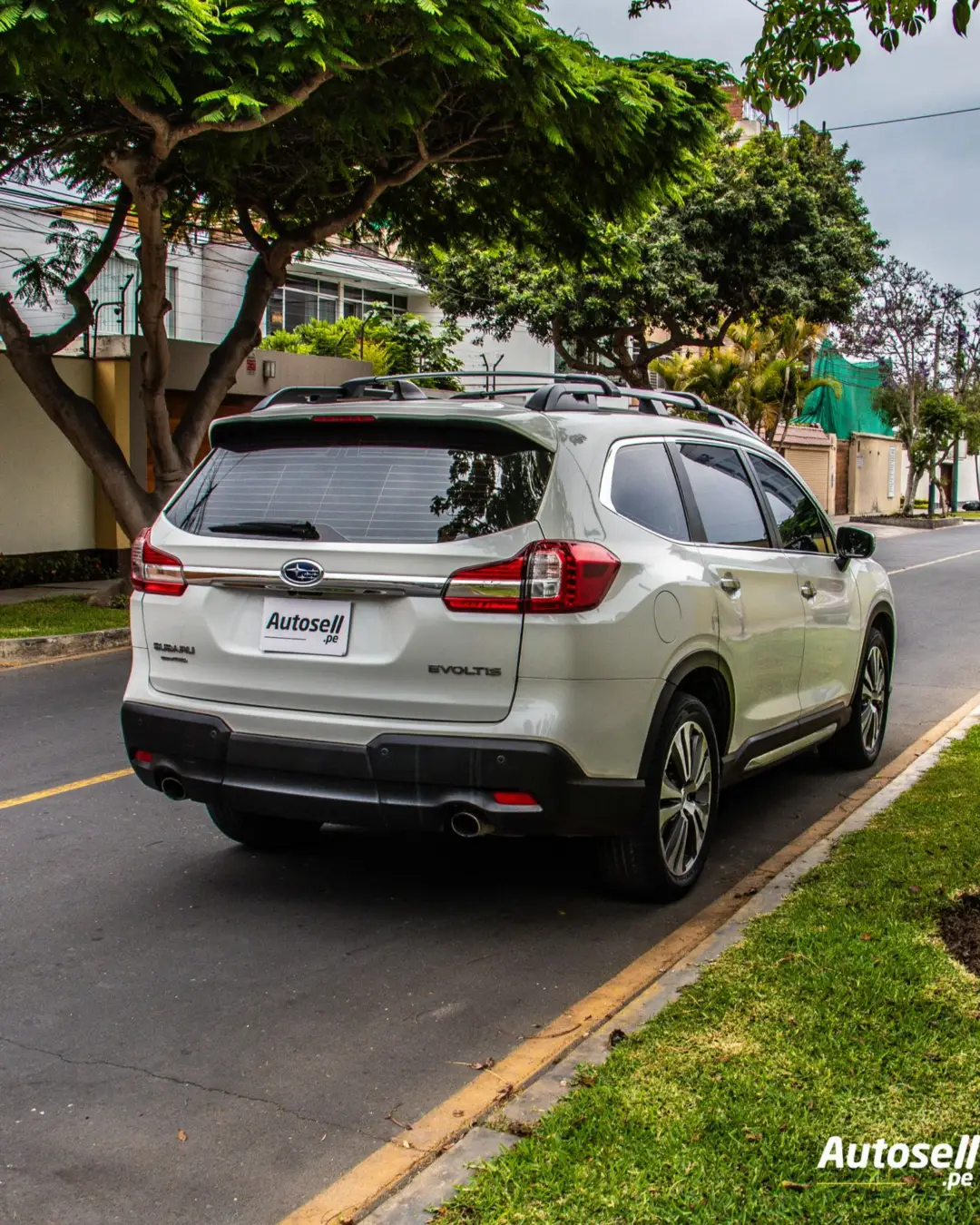 Subaru Evoltis miniatura 5