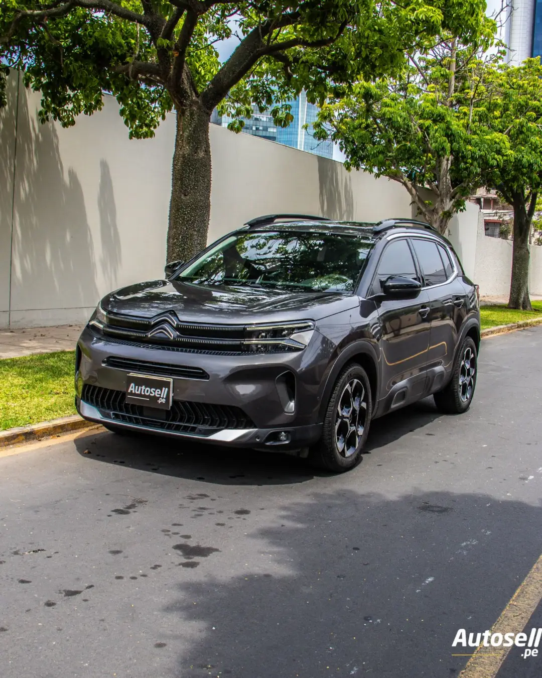 Citroën C5 miniatura 1