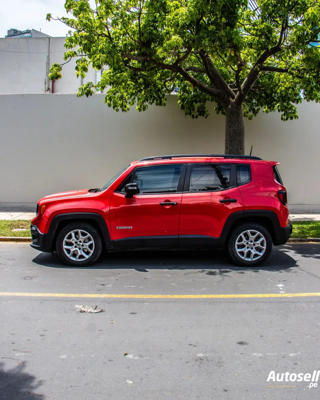 Jeep Renegade miniatura 2