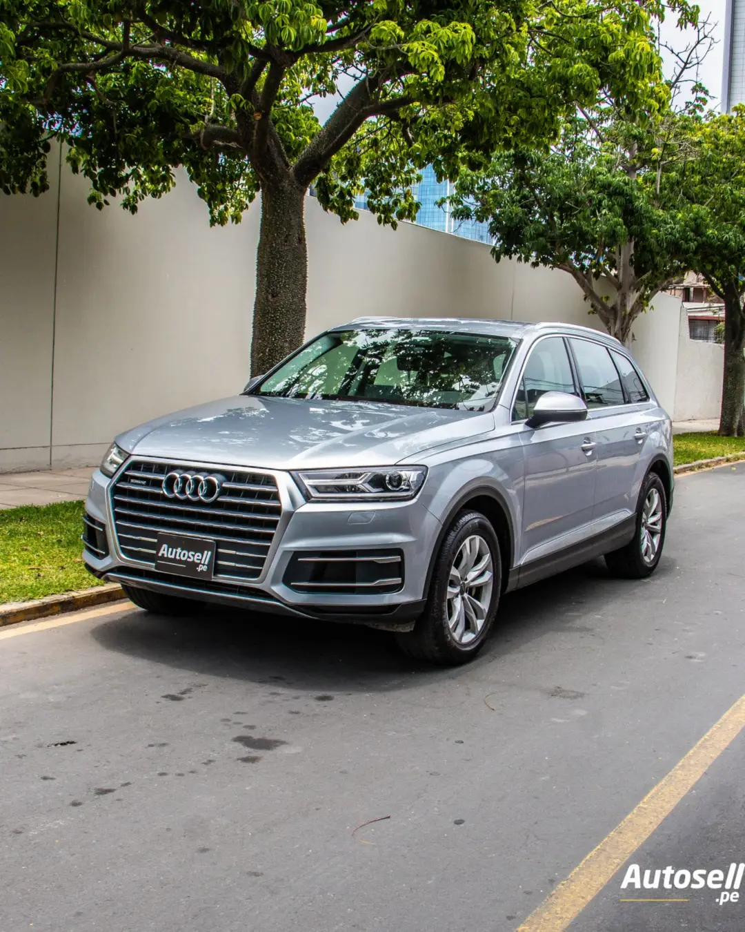 Audi Q7 2019