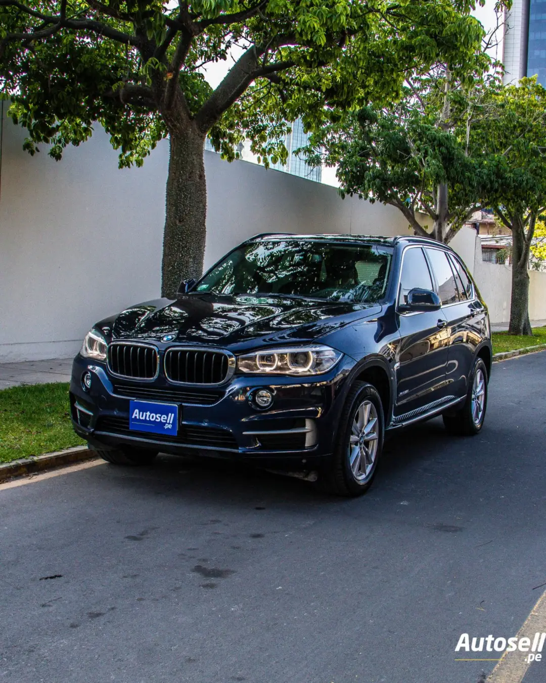 BMW X5 2015
