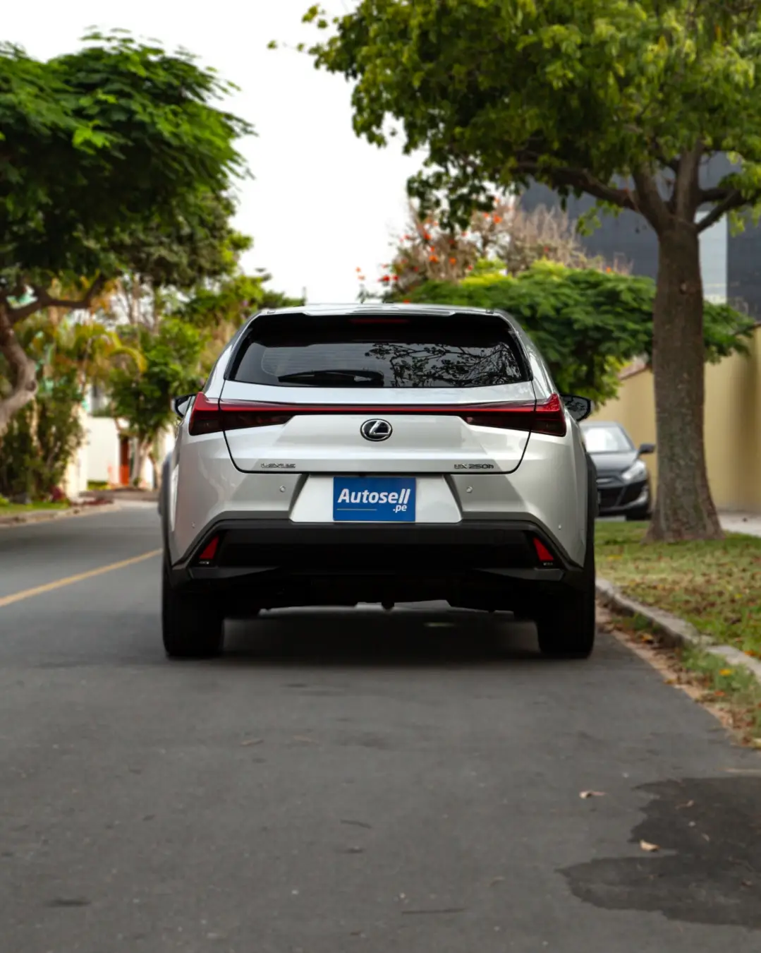 Lexus Ux 250h miniatura 4