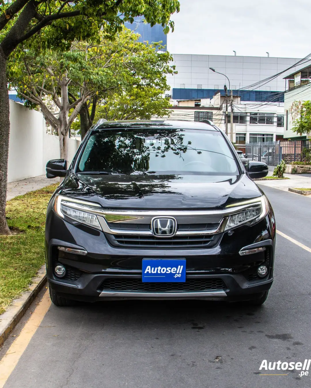 Honda Pilot miniatura 7