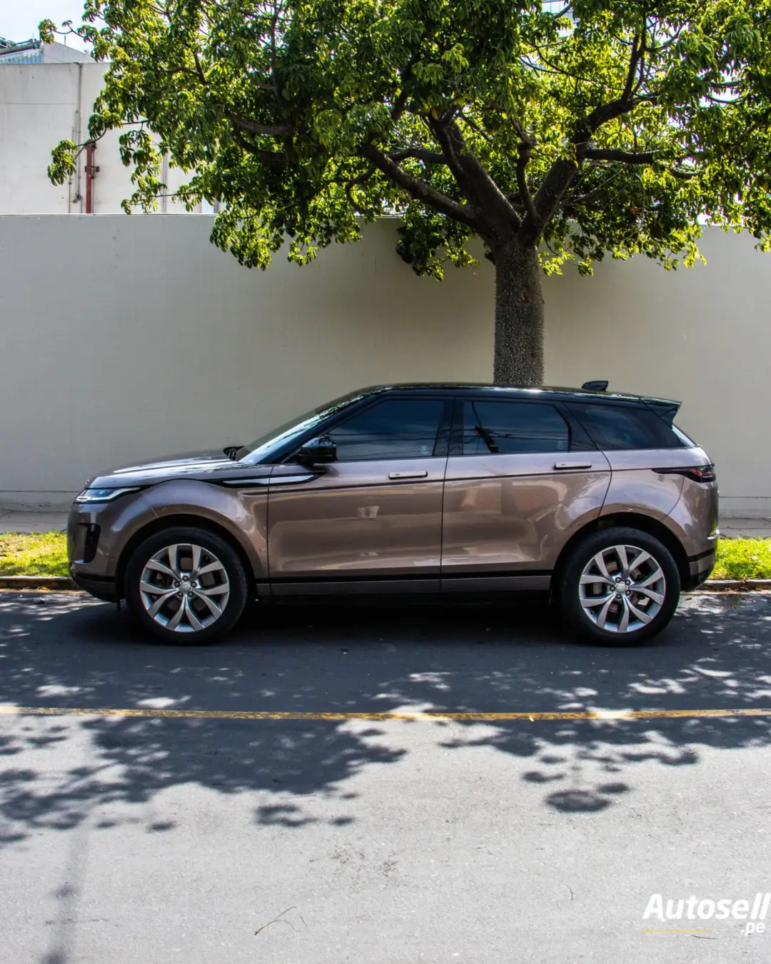 Land Rover Range Rover Evoque miniatura 2