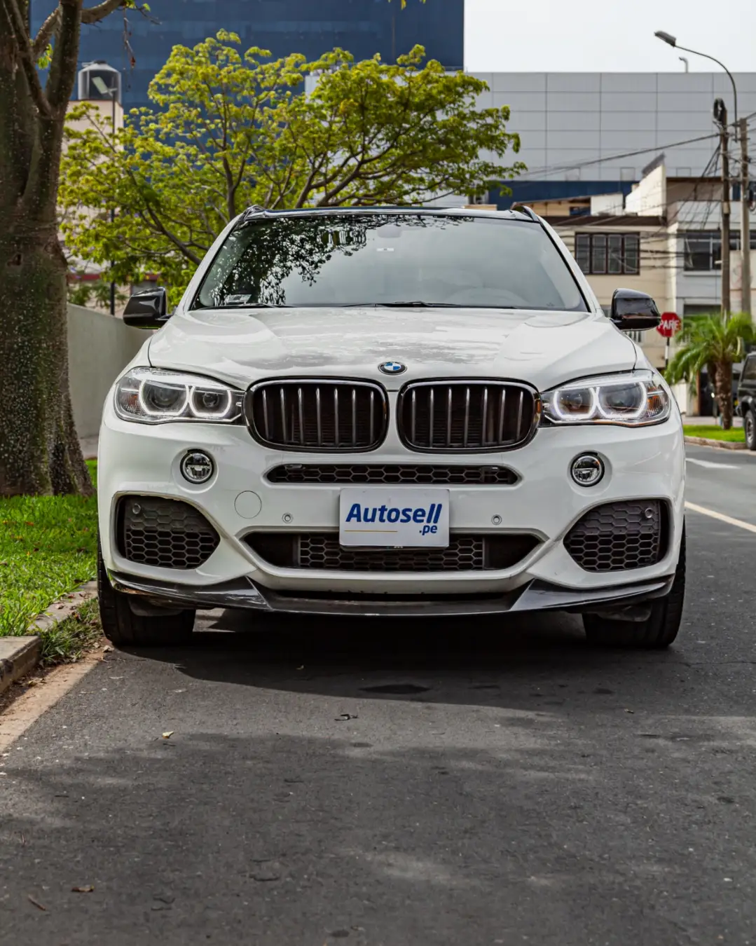 BMW X5 miniatura 7