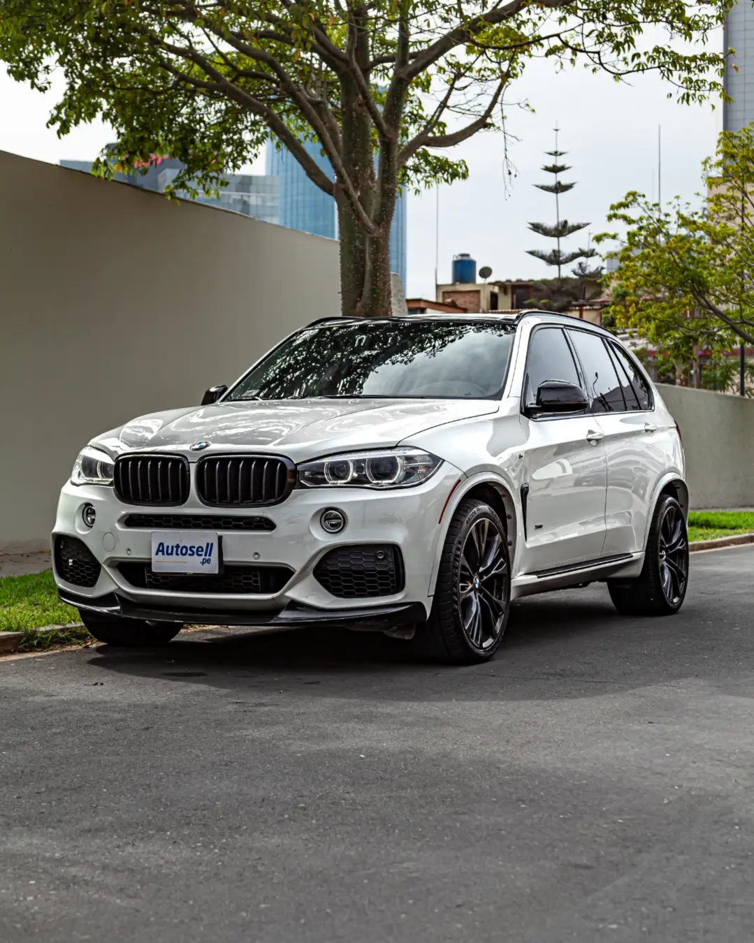 BMW X5 miniatura 1