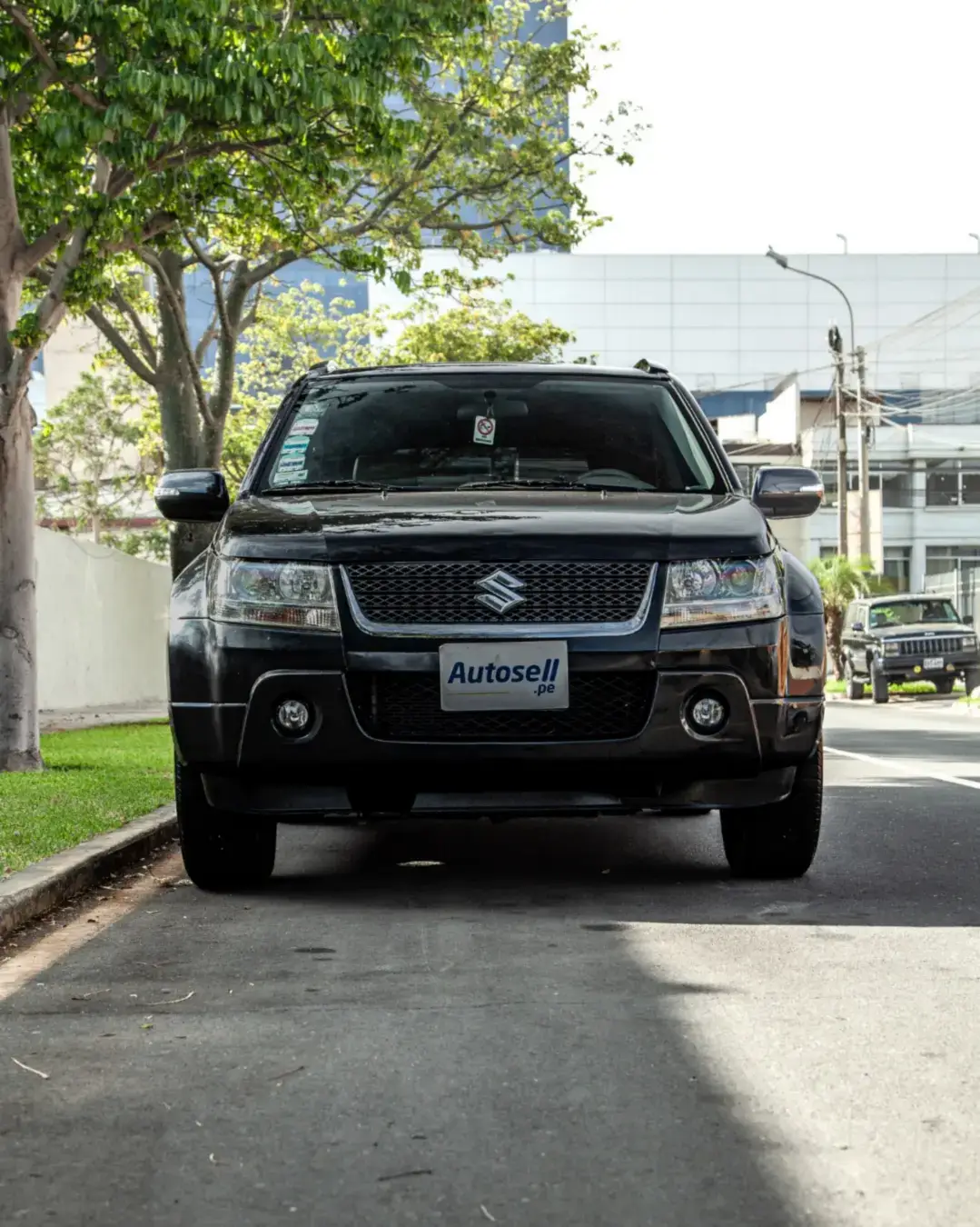 Suzuki Grand Nomade miniatura 6