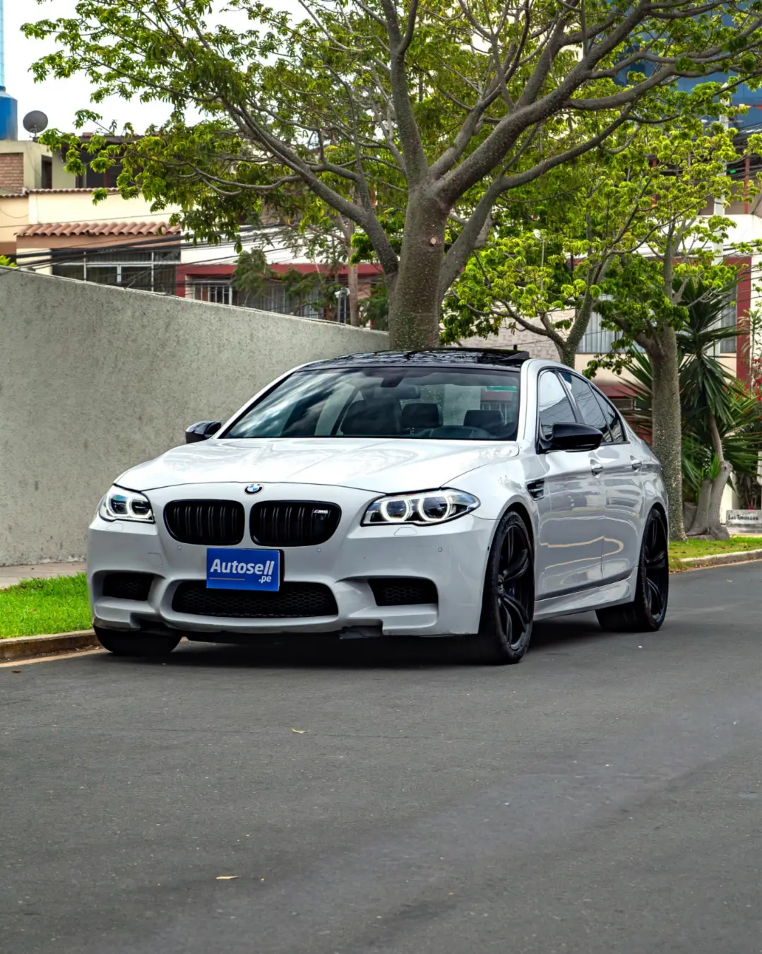 BMW M5