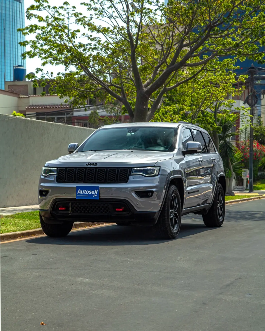 Jeep Grand cherokee 2019 - Vehículo usado en venta