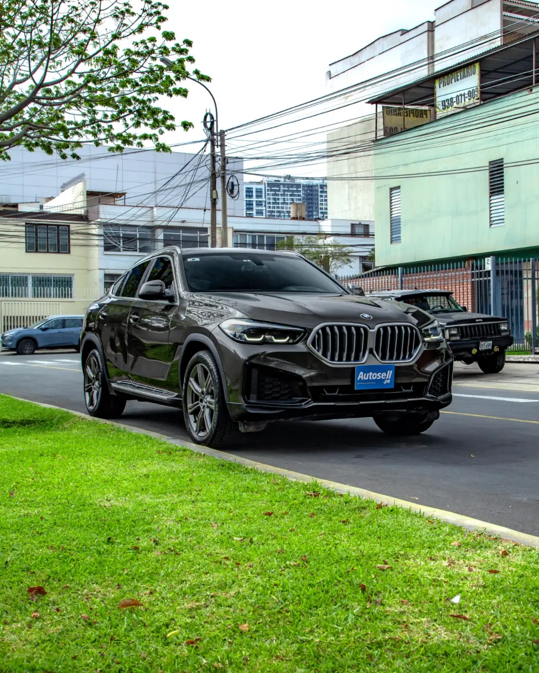 BMW X6