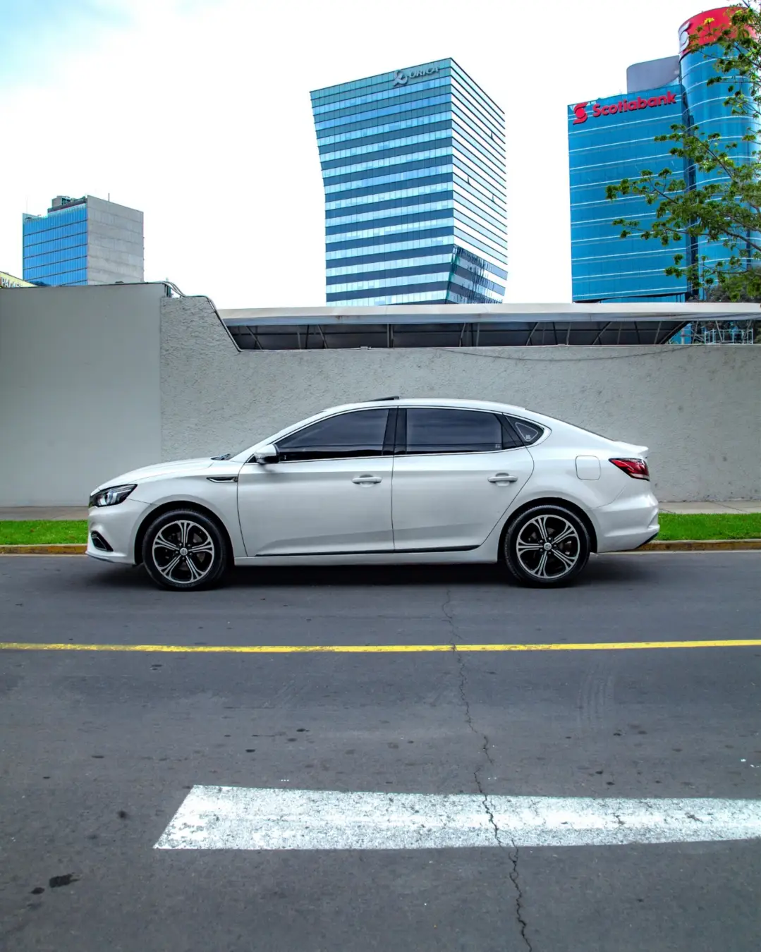 MG Mg6