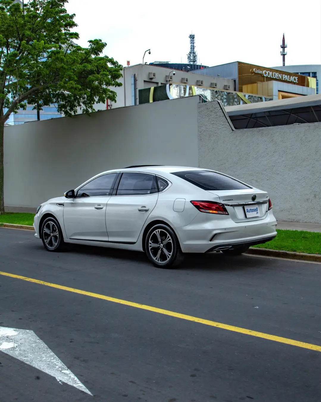 MG Mg6
