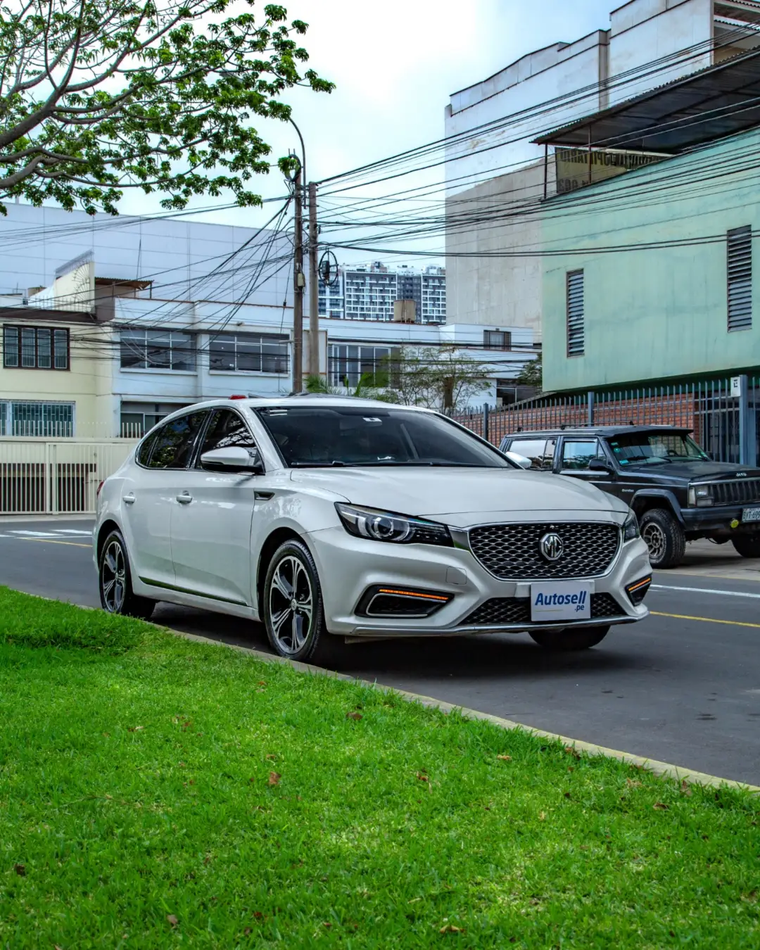 MG Mg6