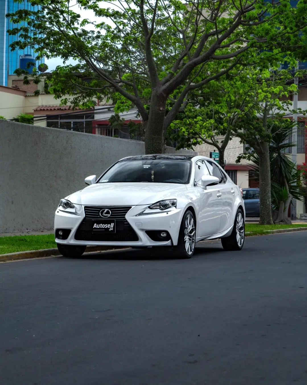 Lexus IS