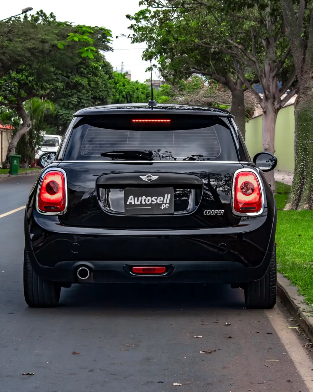 Mini Hatch