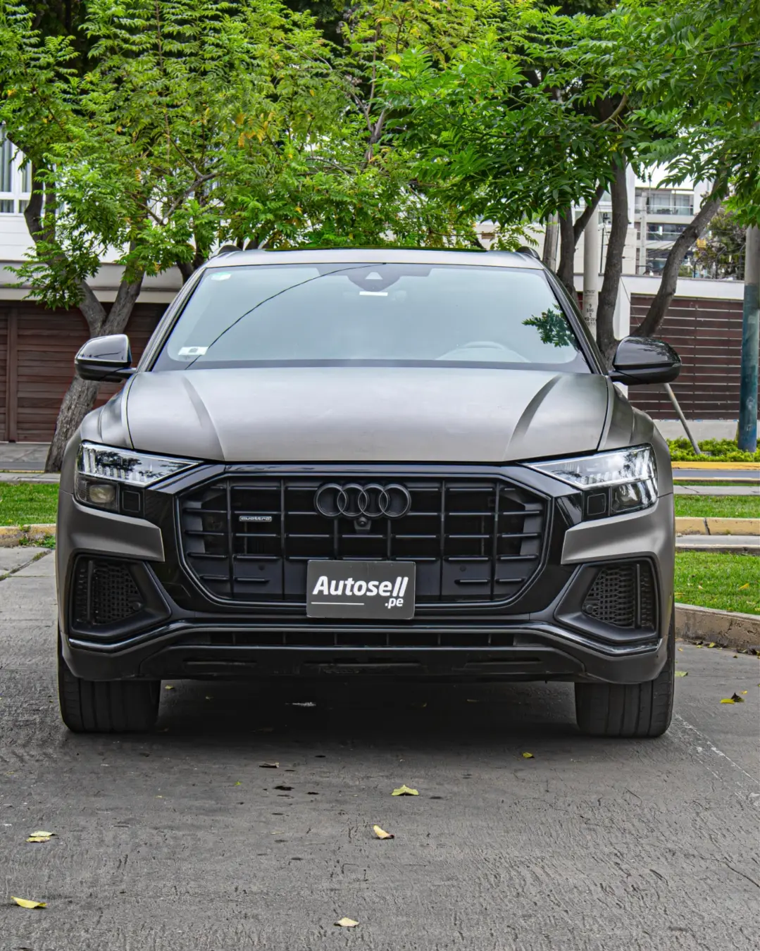 Audi Q8