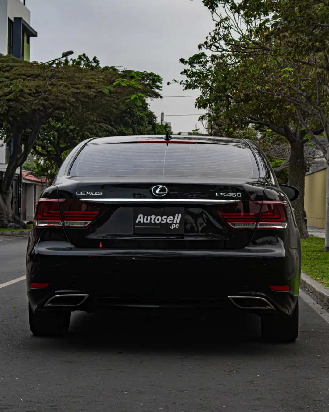 Lexus LS