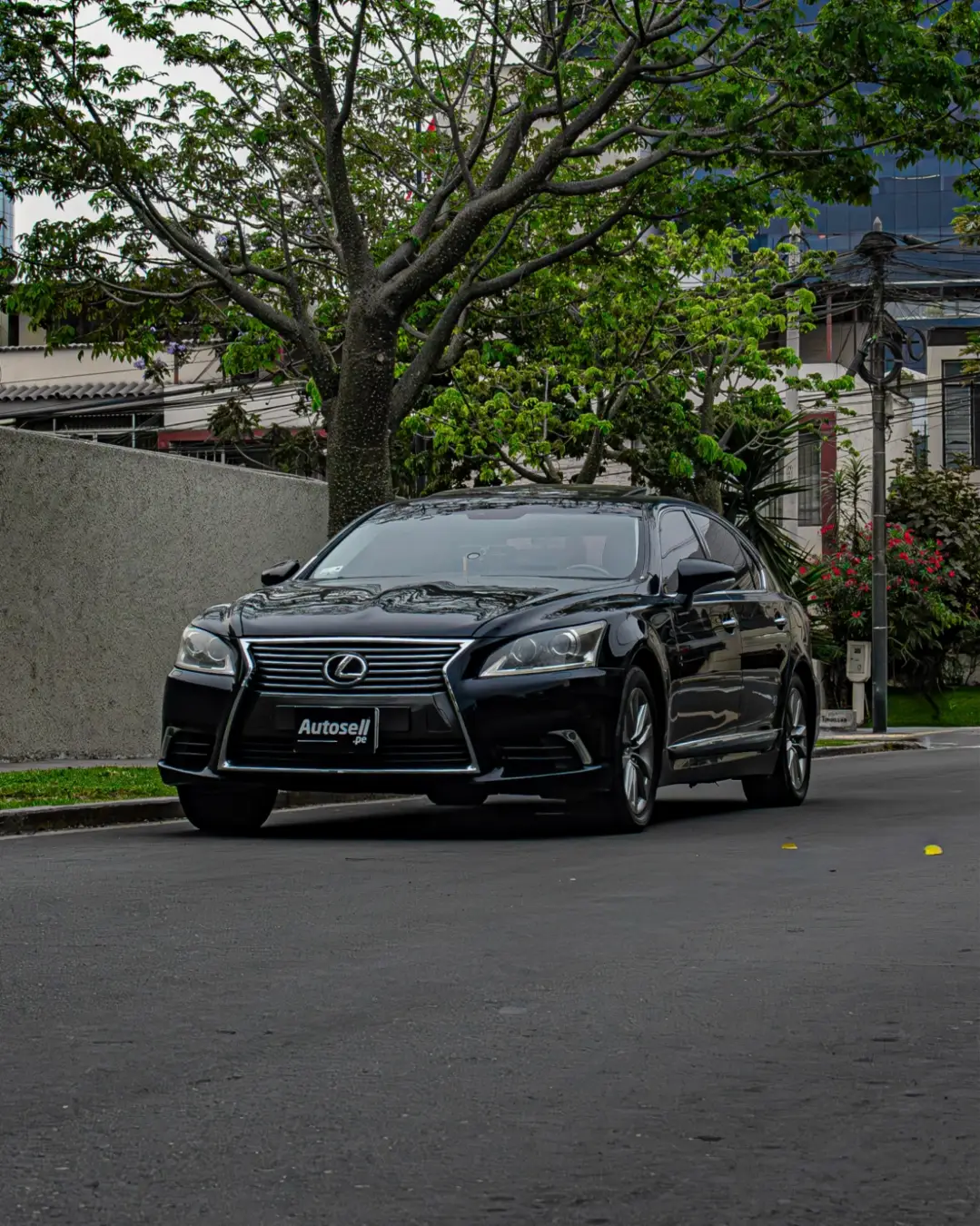 Lexus LS
