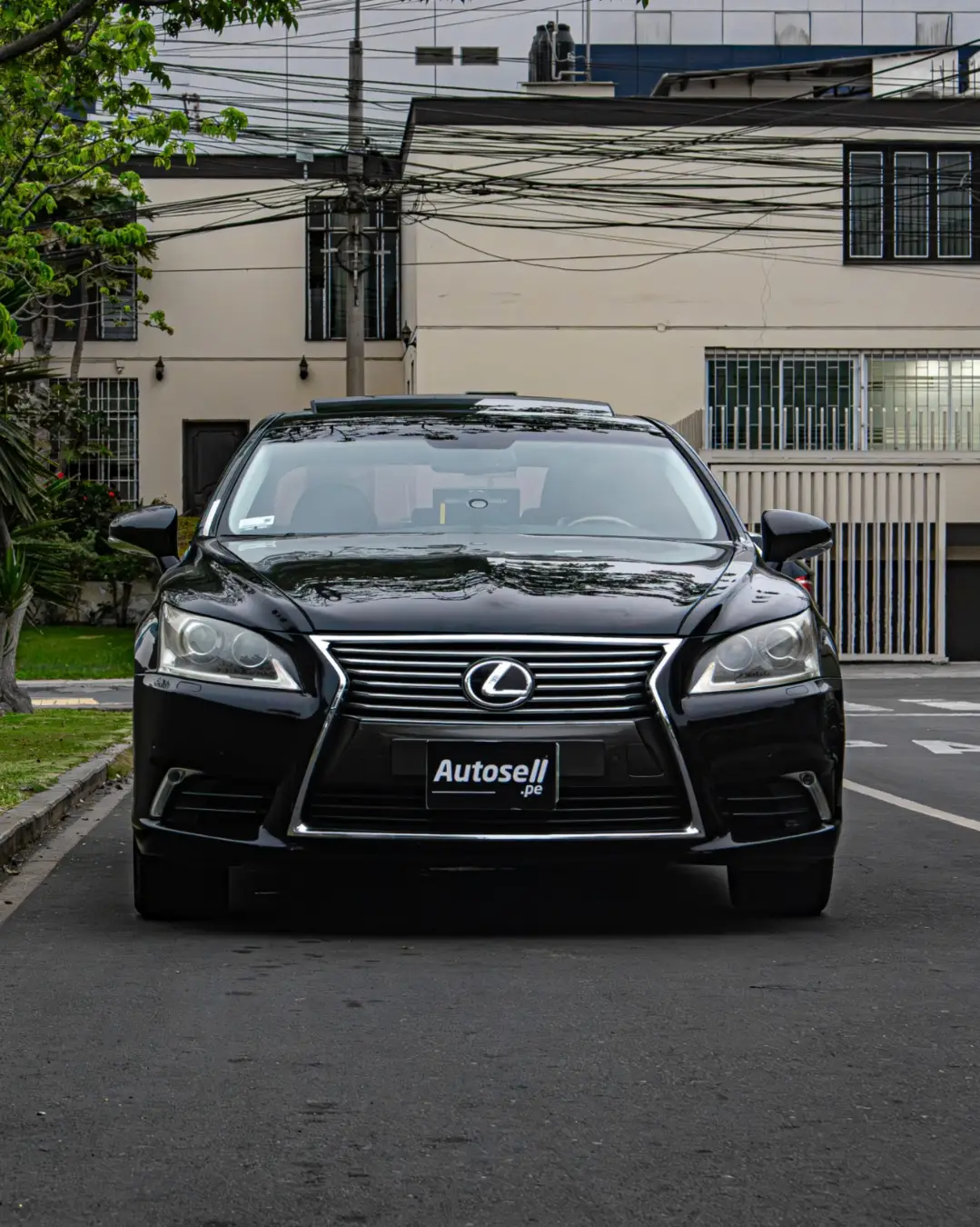 Lexus LS