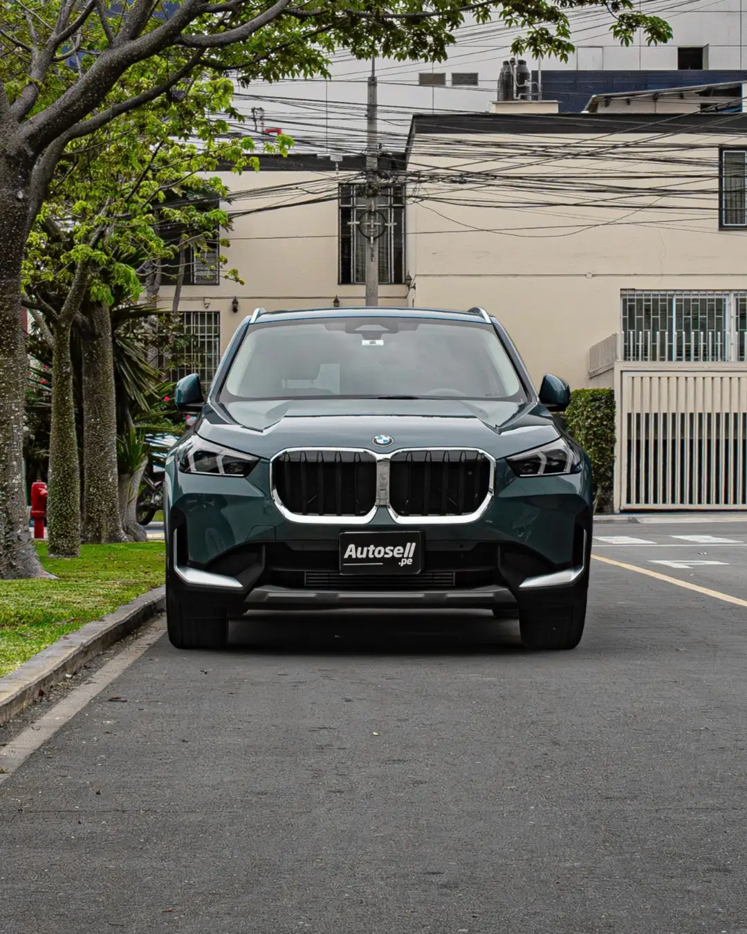 BMW X1