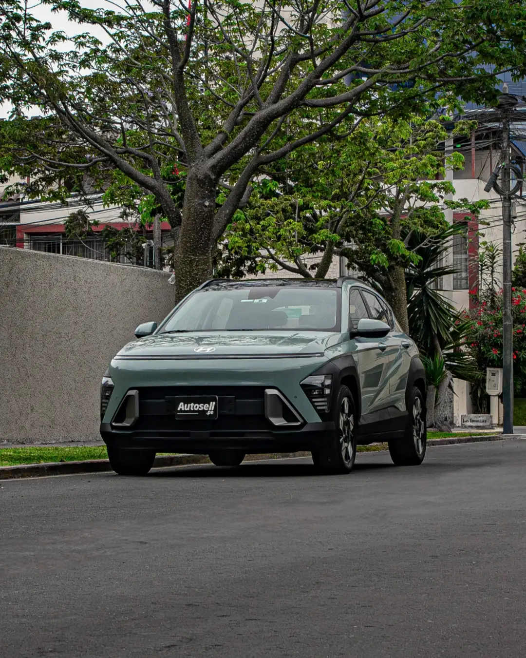 Hyundai Kona hev 2024 - Vehículo usado en venta